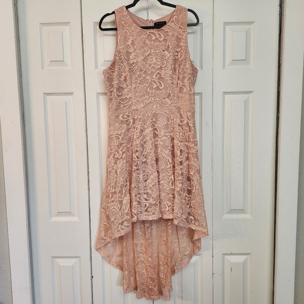 Meetjen Pink Lace Zip‎ Up Back Scoop Neck Western High Low Dress Size 3X